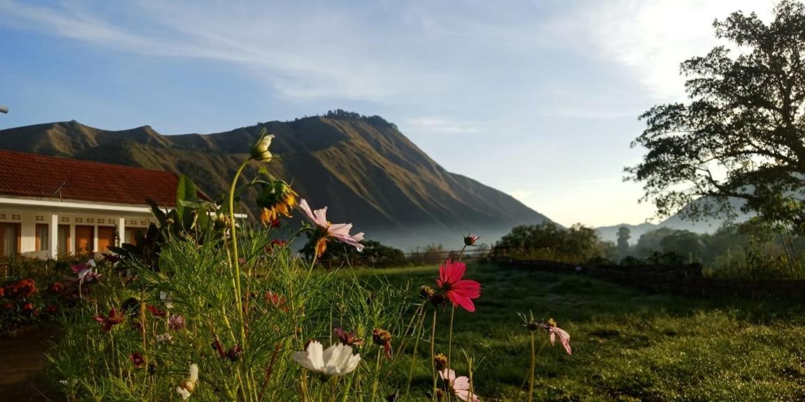 Rinjani Hill Hotel Sembalunlawang Zewnętrze zdjęcie
