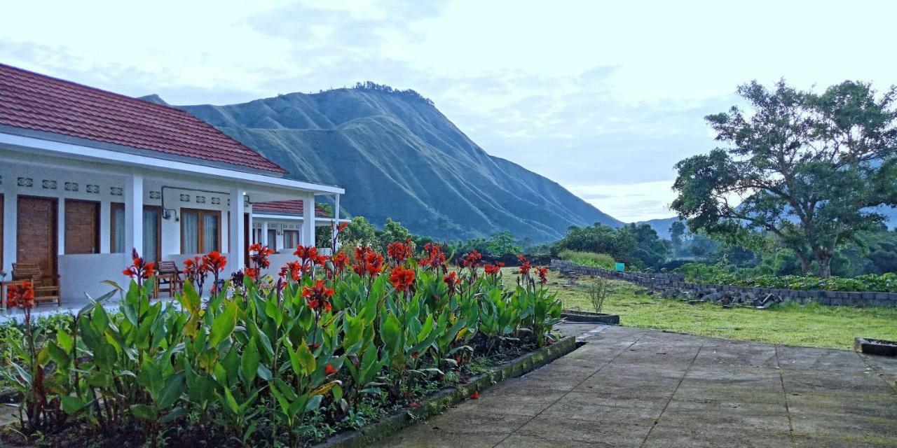 Rinjani Hill Hotel Sembalunlawang Zewnętrze zdjęcie