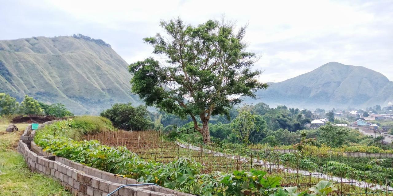 Rinjani Hill Hotel Sembalunlawang Zewnętrze zdjęcie